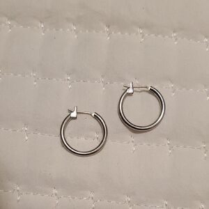 Chic Silver Hoop Earrings